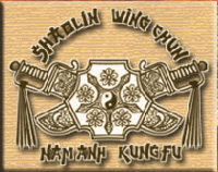 Nam Anh KungFu