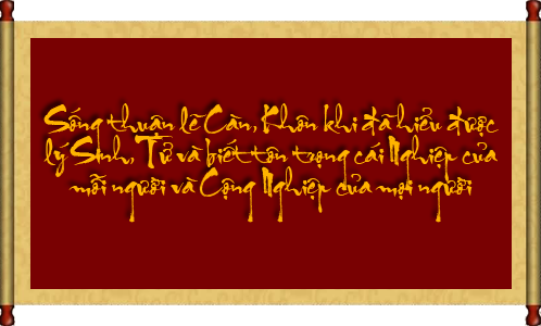 Việt Nam Vịnh Xuân Chính Thống Phái - Nam Anh KungFu